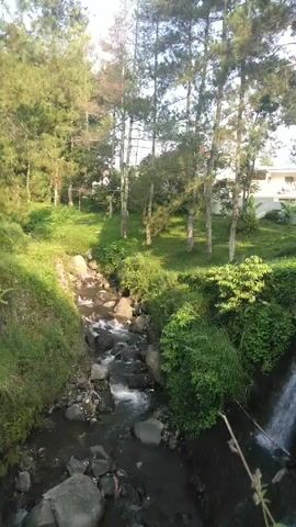 The video depicts a small river flowing amidst a lush green landscape. The river cascades over a series of rocks, creating small rapids. The banks of the river are covered in grass and various types of vegetation.  A collection of tall trees are visible in the background, partially obscuring a building. The video seems to be taken during the daytime.