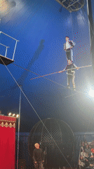 Circus performance draws crowds in Dmitrov, Russia