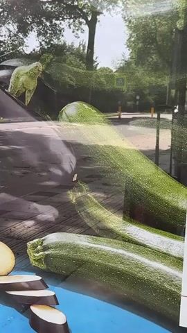 The camera focuses on a poster advertising vegetables, likely displayed behind a shop window. The poster features whole and sliced zucchini and eggplant. Reflections of the outside environment are visible on the glass, including cars passing on the street, trees, and a street sign.