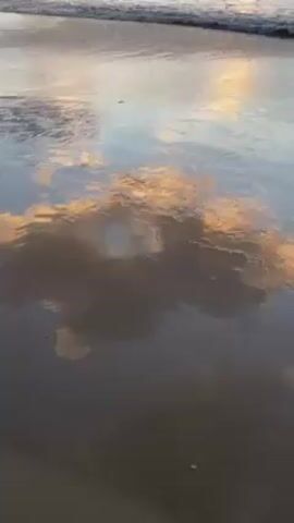 The video shows a beach at either dawn or dusk, with a flat, wet sand reflecting the colors of the sky and clouds. Small waves are approaching the shore. There are no people visible.