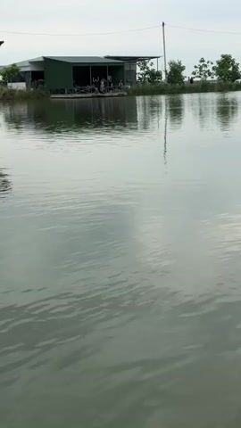 The camera pans across a still body of water, likely a pond or lake, under a cloudy sky. The water is a greenish-gray color with gentle ripples on the surface. On the far banks of the water, there are several small, green buildings, possibly sheds or shelters. Some people appear to be standing on or near one of the buildings. Trees and utility poles are also visible along the shoreline. The overall scene is calm and serene.