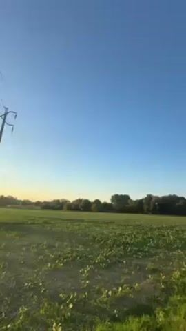 The video shows a green field under a blue sky. There are trees along the edge of the field, and power lines run overhead. Several birds are perched on the power lines. The camera moves along a path, showing the field and trees on one side and a hedge and trees on the other.