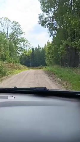 This video shows a point-of-view perspective from inside a vehicle, looking out over the dashboard and windshield. The vehicle is traveling on a gravel road that winds through a forest. The road is dirt and appears to be somewhat uneven. On either side of the road, there are trees and dense vegetation. The sky is visible above the trees, with some clouds present. The lighting suggests it is daytime, possibly overcast or a bright, diffused sun. The overall scene conveys a sense of driving through a natural, wooded environment.
