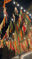 Evening scenes captured around Krasnoyarsk featuring decorations, pets, streets