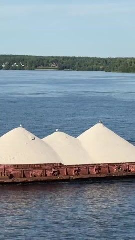 A barge loaded with three large mounds of light-colored sand sails on a body of water. The barge is low in the water, with its rusty red sides visible. Several seagulls are perched on top of the sand mounds. In the background, a tree-lined shore is visible under a clear blue sky.