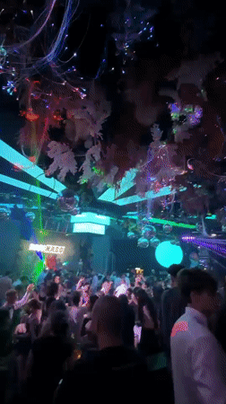 Nightclub scene captured in Sofia with dancing crowd