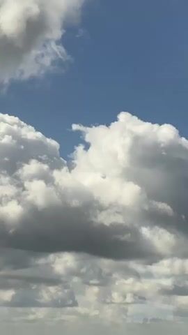 A vertical video captures a dynamic sky filled with large, white, fluffy clouds and smaller, wispy clouds. The clouds range in color from bright white to dark gray, indicating varying depths and potential for weather. The background is a clear, bright blue sky. At the very bottom of the frame, a silhouetted line of trees can be seen against the horizon, suggesting an outdoor, elevated perspective. The video appears to be a time-lapse or slow-motion recording of the clouds moving and changing shape.