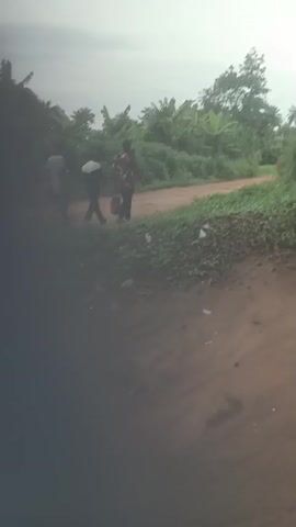 The video depicts four individuals walking on a dirt road lined with lush greenery. The road is a reddish-brown color and appears to be unpaved. The foliage alongside the road consists of various plants, including what appears to be banana trees. Overhead, power lines stretch across the sky, which is overcast. The group comprises three men and one woman. The first man is wearing a striped shirt and blue shorts. The second man has on a white shirt and black pants. The third man is wearing a patterned shirt and dark pants and carries a red bucket. The woman is wearing a brightly colored outfit, and follows behind the men. The scene appears to be captured in a rural or semi-rural area.