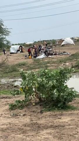 The video shows an outdoor scene with several tents and makeshift shelters in the background. A group of people are gathered around a structure, some appearing to be engaged in activity. In the foreground, there is a large green bush with some yellow flowers, and the ground is dirt with some puddles of water. The overall environment appears somewhat arid, with sparse vegetation. Power lines are visible overhead.