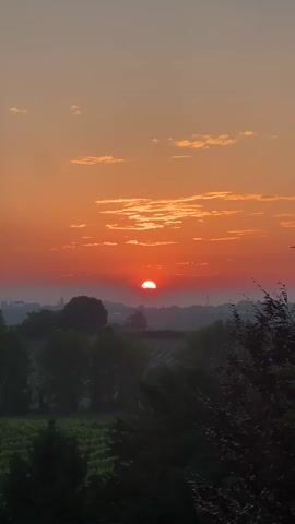 A time lapse video shows the sun setting over a rural landscape. The sky is a vibrant orange, with scattered clouds. In the foreground, there are rows of trees, with a few buildings visible in the distance. The sun slowly descends below the horizon, casting a warm glow over the scene.