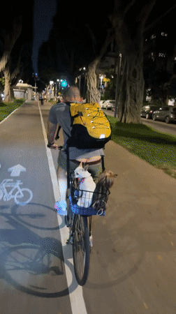Tel Aviv at dusk: cycling paths and a skyline sunset