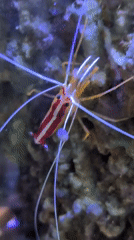 Aquarium life up close in Saint Petersburg