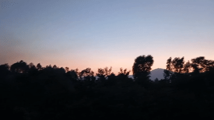 Afternoon garden life documented in Lassan, Pakistan