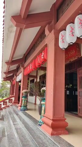 The video shows an outdoor view of a building's facade, likely a temple or traditional Asian structure. The building features a raised platform with steps leading up to a covered walkway. The walkway is supported by large, reddish-brown pillars. Hanging from the eaves are numerous lanterns, a mix of red and white, some with cherry blossom designs.  Potted plants and decorative vases are positioned along the walkway. The building has ornate wooden doors and windows. The overall impression is one of tranquility and traditional design.