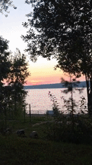 Sunset and wildflowers at a calm Chaikovsky waterfront