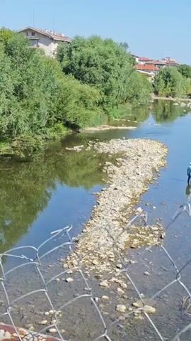 A person is fishing in a shallow river on a sunny day. The river has a rocky bed and is surrounded by trees and buildings. The camera pans across the river and then up to a rusty metal bridge.