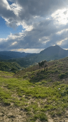 Summer afternoon in the mountain village of Verkhnyaya Mara