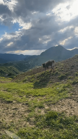 Summer afternoon in the mountain village of Verkhnyaya Mara