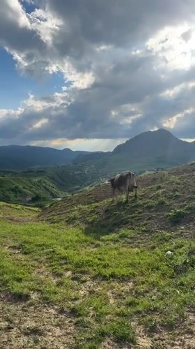 Summer afternoon in the mountain village of Verkhnyaya Mara