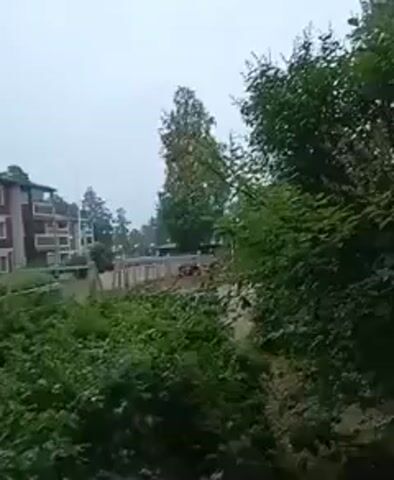The video shows a view from a window looking out at an apartment building and surrounding greenery. The apartment building is several stories high with red brick and balconies. There are trees and bushes in the foreground and background. In the distance, a playground with swings and slides is visible. The sky is overcast.