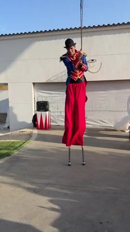 A person wearing a circus-style costume, including a black hat, blue and red jacket with gold trim, and long red pants, is walking on stilts. The person is holding a whip or lasso in their hands. The scene appears to be outdoors, possibly in a backyard or driveway, with a white building in the background. There is a speaker and a small table with decorations to the left and right of the person. The person is in motion, walking from left to right in the frame.