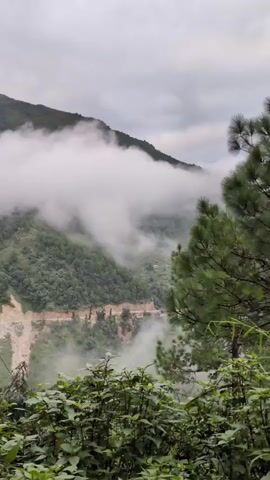 The video shows a mountainous landscape partially obscured by clouds. The slopes are covered in lush green vegetation, with some areas appearing to have been cleared for a road that winds through the mountains. Several power lines run diagonally across the frame. In the foreground, dense green foliage creates a natural border. The sky is overcast, contributing to the misty atmosphere. There are no people or discernible actions visible in the video.