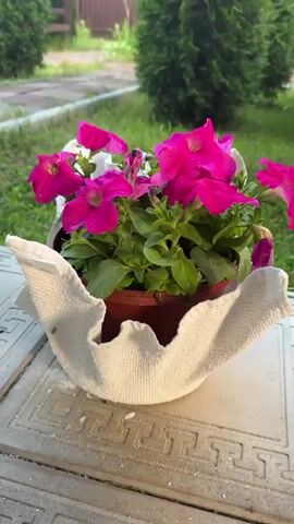 The media file shows a close-up of a potted plant with bright pink petunias. The pot is placed in a decorative white concrete planter that resembles draped fabric. The planter is sitting on a textured surface, possibly a table or a patio, with a Greek-key-like pattern. In the background, out of focus, are lush green trees and a hint of a wooden fence, suggesting an outdoor setting like a garden or yard. The lighting appears soft, indicating it might be early morning or late afternoon, possibly during pleasant weather given the healthy appearance of the plants. There is no visible text in the media. The scene evokes a sense of home gardening and creative DIY projects.
