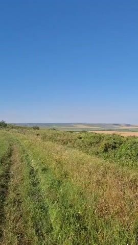 The video captures a sweeping panoramic view of a rural landscape on a clear day. The foreground is dominated by tall, dry grass and green bushes, with a hint of yellow flowers interspersed within the greenery. The middle ground features rolling hills covered in a patchwork of cultivated fields, displaying varying shades of green and yellow, suggesting different crops or stages of growth. Beyond the hills, a distant horizon is visible, marked by faint, hazy hills under a vast, bright blue sky. There are no people or man-made structures clearly visible in the frame. The sun appears to be high in the sky, casting bright light on the landscape. The camera appears to be positioned on an elevated vantage point, looking out over the expansive scenery.