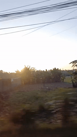Traveler films rice paddies, countryside from moving vehicle near Abiansemal