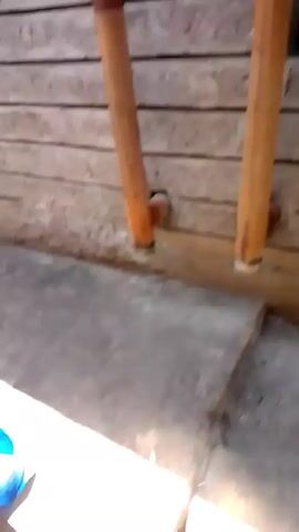 The camera pans along a narrow walkway outside a building. The walkway is concrete and appears to be partially covered by an overhanging roof. The building walls are constructed from horizontal planks of wood or concrete blocks.  The walkway leads to an open area with greenery including bushes and trees.  A metal railing is visible on the left. In the distance, there are boxes and crates. The weather appears sunny.