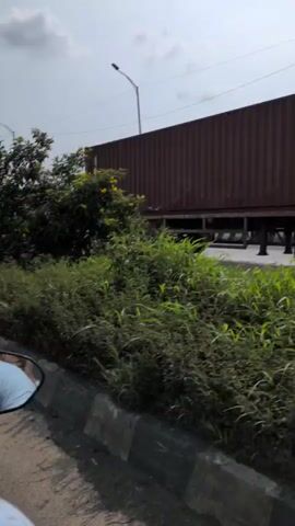 A vertical video captures a roadside scene. The foreground is dominated by lush green foliage and grass. In the midground, a tall, slender street lamp stands prominently. Behind the lamp, there are trees, one with yellow flowers, and a concrete barrier or wall. Further in the background, a road curves away, with a distant line of structures or buildings and hills under a cloudy sky. The camera appears to be moving, giving a sense of passing by.