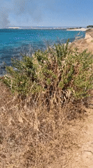 Along the Taranto coast: sea, smoke, and Villa Gabriella