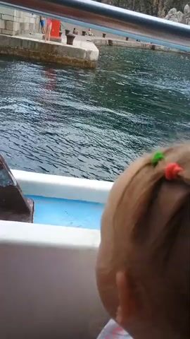 The video begins with a close-up of a child's head, with blonde hair tied up with colorful bands. The camera then pans out to reveal a view from a boat. In the background, there is a body of water and a rocky coastline with buildings perched on the cliffs. Several boats are docked along the shore, and people can be seen swimming and relaxing on a small beach. The overall scene is a scenic view of a coastal town.