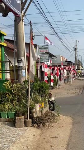 This is a medium shot, slightly tilted, vertical video of a street lined with Indonesian flags. The flags are red and white, alternating with white flags bearing red stripes. They are positioned along the side of a dirt and asphalt road. On the left side of the frame, there is a sidewalk with a utility pole and potted plants. A building with a yellow and green facade is visible behind the plants. A sign with text in Indonesian is mounted on the building. The sky is clear and blue. A few people are visible in the distance, walking along the sidewalk. The video appears to be taken during the daytime.