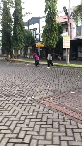 The video shows two individuals walking away from the camera on a brick-paved pathway. They are on the right side of the frame, moving towards the left. The individual in the foreground on the left is wearing a dark hijab and a pink bag over their shoulder. The individual further to the left is wearing a black hijab and a grey jacket. They are walking side-by-side. In the background, there are several tall, slender trees lining the pathway. Beyond the trees, there is a building with windows and a street with parked motorcycles. A street lamp is visible on the right side of the frame, and a sign with red and white symbols is attached to it. The ground is paved with rectangular bricks laid in a basket-weave pattern. The lighting suggests it is daytime, possibly overcast.
