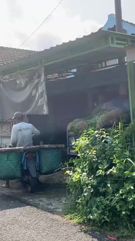 A person wearing a hat and a white t-shirt rides a motorbike with a large green woven basket attached to the back. The basket is full of green produce. The person is stopped in front of a building with a green awning and a banner that says "djp." A young child stands on a porch in front of the building, looking at the camera. Another person is partially visible in the background, next to the child. The scene appears to be in a residential or commercial area with a paved road and some greenery. The weather is overcast. The video pans to the right, showing more of the building and the surrounding environment, including a trash can and a small structure with a sign that says "POTONG RAMBUT".