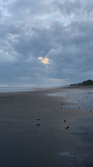 Cloudy morning beach scenes captured across dark sand coastline