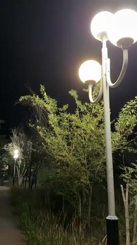 The video shows a nighttime scene in a park. A paved pathway curves to the left, bordered by grass and trees. Several lampposts illuminate the pathway and surrounding vegetation. In the foreground, a white lamppost with three globes stands on the right. In the middle ground, a pathway is visible, with two figures walking away from the camera. Further back, more lampposts and trees create a sense of depth. The overall atmosphere is quiet and dimly lit, with the artificial light from the lamps casting a warm glow on the leaves and branches.
