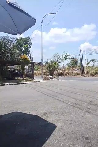 A white van drives past on a sunny day. A white truck follows. The scene is a roadside with trees and power lines.