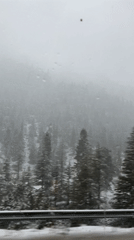 Snow-covered forest documented from vehicle near Akseki, Turkey