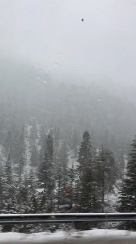 Snow-covered forest documented from vehicle near Akseki, Turkey