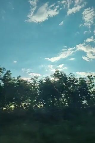 This is a video captured from a moving vehicle, likely a car, traveling through a rural landscape. The primary subject is the natural scenery outside the window. The sky is a vibrant blue, dotted with scattered white clouds, suggesting fair weather. Sunlight streams through the clouds and trees, creating a bright, hazy effect and lens flares.

The foreground is dominated by a blur of green foliage from trees that line the road, indicating a densely wooded or tree-lined path. The motion blur suggests a relatively high speed of travel. In the distance, a green field can be seen, hinting at agricultural land.

The time of day appears to be late afternoon or early evening, as the sun is low in the sky, casting long shadows and producing a warm, golden light. The setting is identifiable as Opishnia, Ukraine, based on the provided location context.

There is no visible text in the video. The overall mood conveyed is one of peaceful travel and appreciation for the natural beauty of the Ukrainian countryside. The quick cuts and motion blur create a sense of journey and forward momentum.