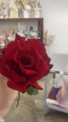 Ordinary moments captured across Yekaterinburg: roses, meals, playground walks
