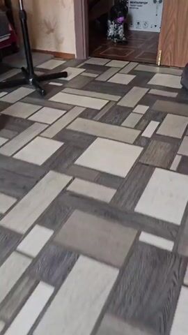 The video begins with a low-angle shot of a patterned floor and a doorway. A black and white dog is visible in the background, lying down with a pink ball in its mouth. A scooter and a box are behind the dog. The camera then zooms in on the dog's face. The dog looks at the camera, its mouth open, with the pink ball still in its mouth. The background remains the same. The video ends with a close-up of the dog's head.