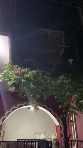 The video is a low-light recording of a building exterior at night. A tree with red and white flowers is prominently featured, draped over a portion of the building. The building itself appears to be red and white, with an arched entryway. A lamppost stands near the building, with power lines visible overhead against the dark sky. The overall impression is one of a quiet, dimly lit outdoor setting.