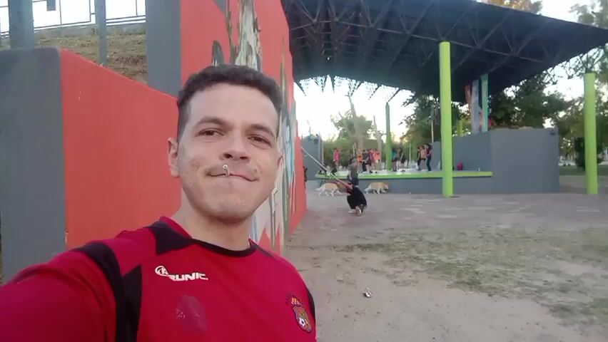 A man in a red shirt is taking a selfie in front of a painted wall in a park. The wall is a bright red color with a mural on it. Behind him, there is a covered stage area with green support beams and people walking around. There are also a couple of dogs in the background. The man is looking directly at the camera with a cigarette in his mouth. The overall setting appears to be a public park during the daytime.