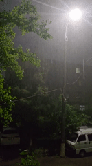 Rainstorm observed in Tashkent under streetlight illumination