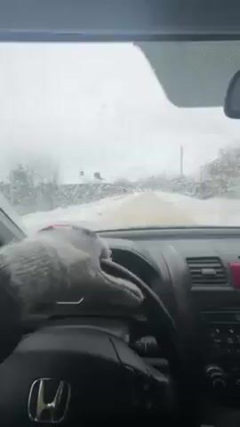 A driver wearing a glove drives a car on a snowy road. The view is from the driver’s seat, showing the steering wheel, dashboard, and the snow-covered road ahead. The windshield is partially obscured by snow or frost. The car’s radio or music player is visible in the dashboard. The environment appears to be a residential area with snow-covered houses and trees along the road.
