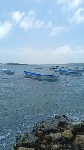 The video shows a body of water with boats and children swimming.

The camera is positioned at the edge of the water, looking out. Several small, white boats with blue trim and dark tops are anchored in the water. The water appears to be shallow, and ripples are visible on the surface. The background consists of a light sky with scattered clouds.

As the video progresses, the camera zooms in slightly on one of the boats. The view then shifts to children in the water wearing life vests. They are swimming and playing, with the boats anchored nearby. The water appears clear and calm in this section of the video.

The video concludes with a wider view of the water and boats, showing the overall scene.
