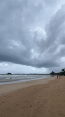 Morning beach scenes with surfers and dogs in Peleana